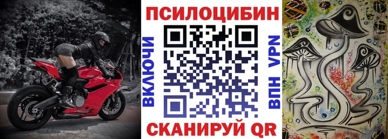 Псилоцибиновые грибы Cubensis  Чулым 